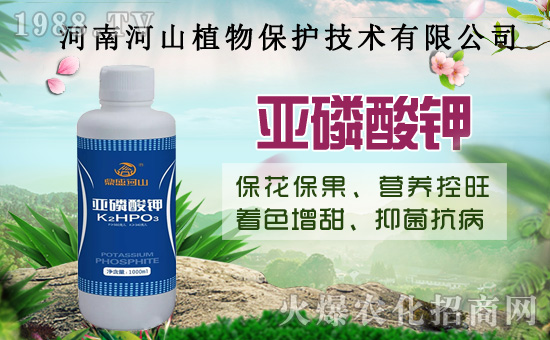 С�����߼Ӵa�������u�Z��2020��8��14��С���r(ji��)�����飡