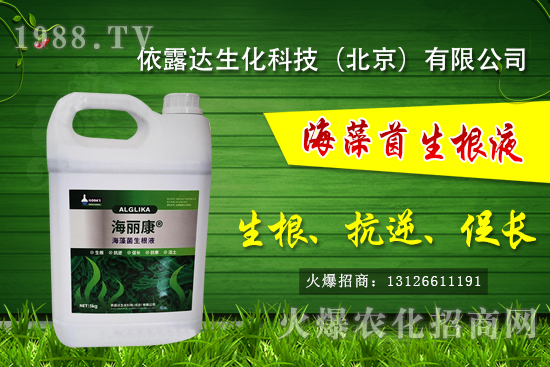 �J��������ЩƷ�N���J���Һ��殐����ʲô�^(q��)�e��