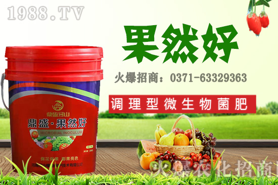 秋季適合種植哪些花卉？秋天播種六種花卉品種推薦！