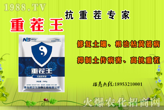 ɽ��ʲô����(ji��)������ɽ�����Ҫ�a(ch��n)������������ôʳ����