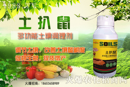 ������ʲô�r(sh��)��Nֲ����������ô�x���Nֲ�����ô�㣿