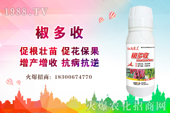 С���r������Xһ�2020�����С���r��߀���ϝq����