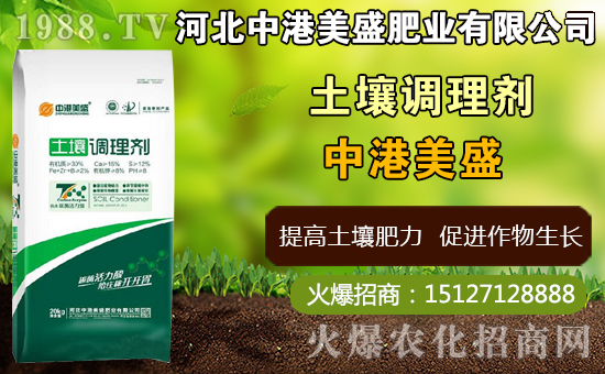 中藥太子參什么時(shí)間種植，太子參什么時(shí)候收獲更好（附種植技術(shù)）