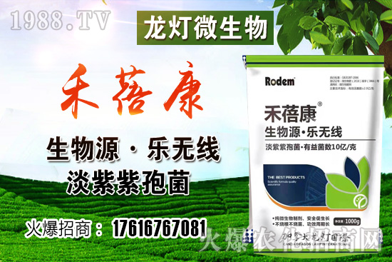 ���t���ڷ۷����ǣ����t��¶��ʹ���Nֲ�кβ�ͬ��