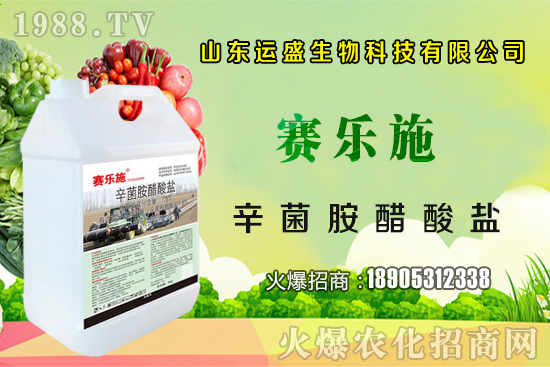 �����Ә���ڷ۷����������Ә���ζ�������