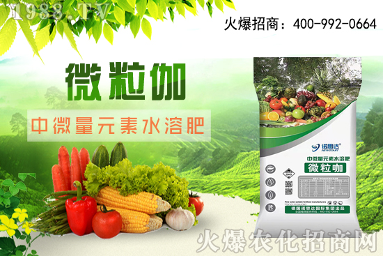 ����ԓ��ô��������������r�g������ע��Ҫ�c��