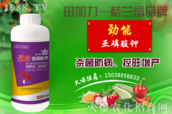 �޻������������ʩ�ʣ��޻�������Լ�ʩ��ԭ�t��