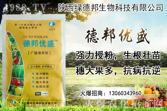 �����r(ji��)������Xһ���������Nֲ�ĭh(hu��n)�������x������