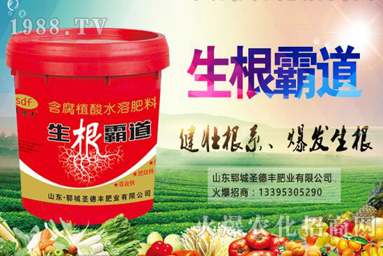 ������(sh��)�Nֲ����(ji��)��ʲô�r(sh��)����������(sh��)�Nֲ��������Щ��