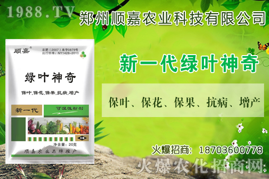 小麥價(jià)格連連上漲！現(xiàn)在一斤多少錢？