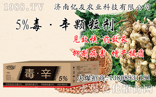 �������Ժʹ�����ʲô��ͬ���������԰˴��P(gu��n)�IҪ�c(di��n)��