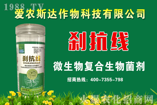 ���ռZ�r��2020��9��11��С���r�������A�y��