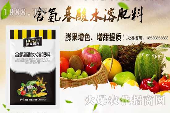 �|���m����ʲô����(ji��)���ࣿ�|������M(j��n)�зNֲ��