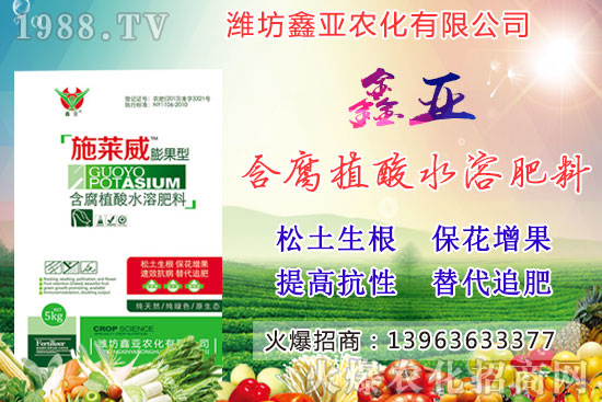 糧食漲價！20209月17日小麥價格行情如何？
