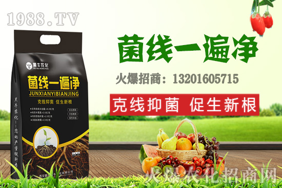 9月19日小麥價格更新，漲跌互現(xiàn)！