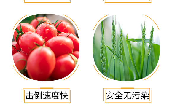 500ml�M�ڌ��Ú�������-�ߵ�-�����r(n��ng)_06