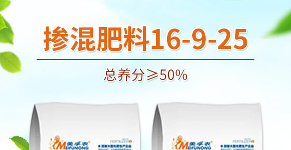 �������16-9-25-�и���ʢ_01