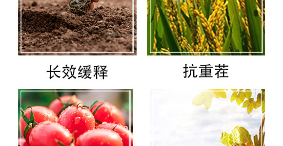 �����r��ጷ���28-12-12-�и���ʢ_05