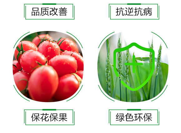 1000ml氨基酸中藥肥-潰立克-紅樂(lè)_06