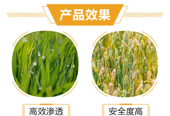 500ml�M�ڌ��Ú�������-�ߵ�-�����r(n��ng)_05