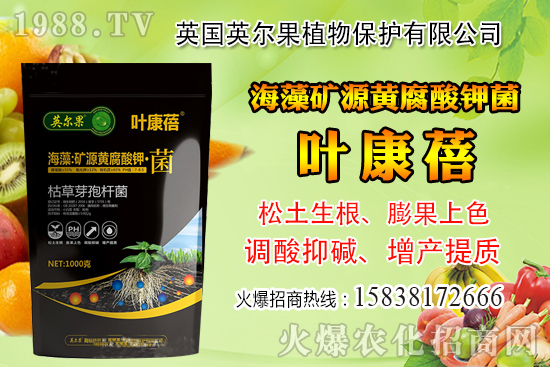 怎么判斷玉米含水量？玉米籽粒含水量感官判定經(jīng)驗(yàn)！