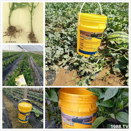 水溶肥市場(chǎng)大變革?。亢Ｔ寰?、魚蛋白將被它代替！1000多用戶鼎力推薦！