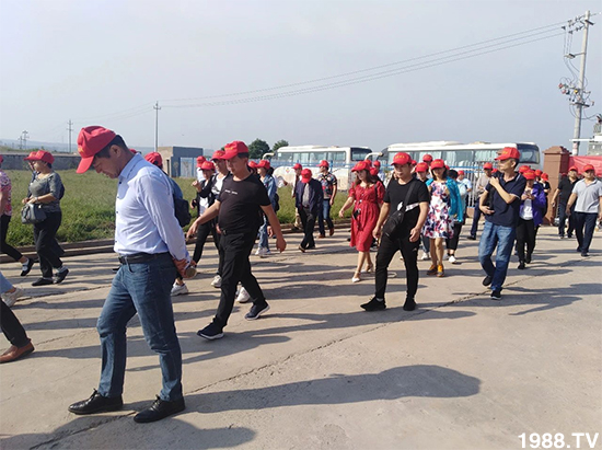 水溶肥市場(chǎng)大變革??？海藻精、魚蛋白將被它代替！1000多用戶鼎力推薦！