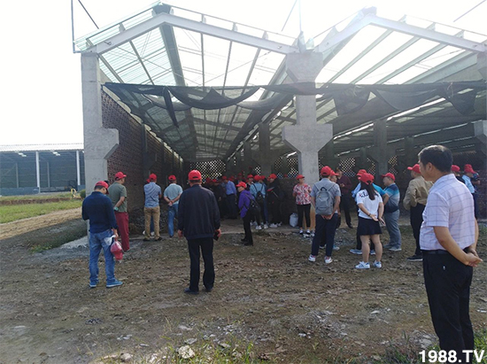 水溶肥市場(chǎng)大變革?。亢Ｔ寰?、魚蛋白將被它代替！1000多用戶鼎力推薦！