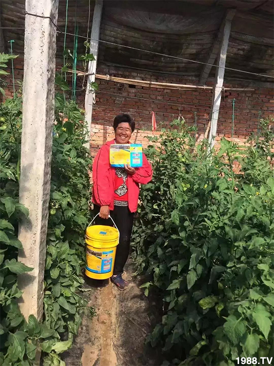 水溶肥市場(chǎng)大變革??？海藻精、魚蛋白將被它代替！1000多用戶鼎力推薦！