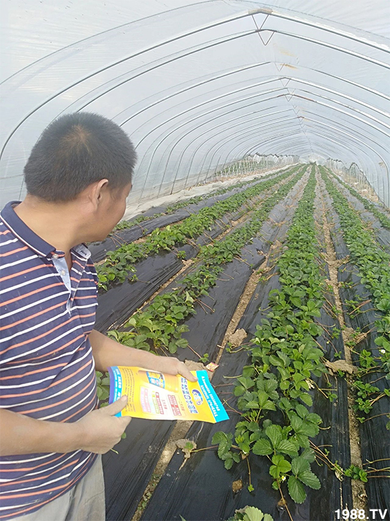 水溶肥市場(chǎng)大變革??？海藻精、魚蛋白將被它代替！1000多用戶鼎力推薦！