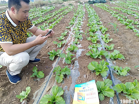 水溶肥市場(chǎng)大變革?。亢Ｔ寰?、魚蛋白將被它代替！1000多用戶鼎力推薦！