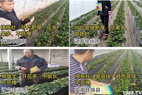 水溶肥市場(chǎng)大變革?。亢Ｔ寰?、魚蛋白將被它代替！1000多用戶鼎力推薦！