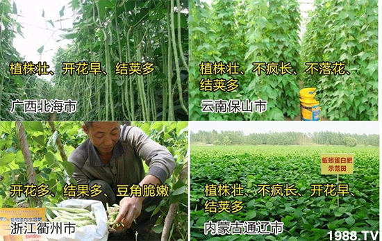 水溶肥市場(chǎng)大變革??？海藻精、魚蛋白將被它代替！1000多用戶鼎力推薦！
