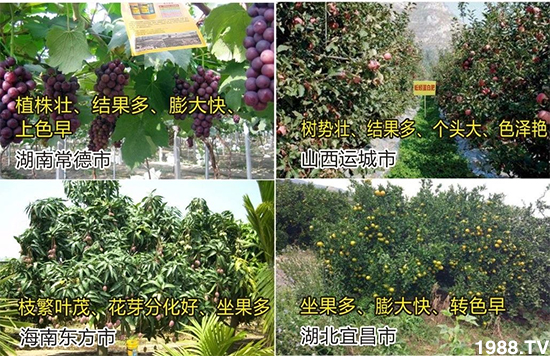 水溶肥市場(chǎng)大變革！？海藻精、魚蛋白將被它代替！1000多用戶鼎力推薦！