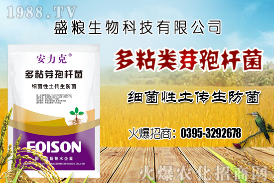 車?yán)遄臃N植環(huán)境要求有哪幾點(diǎn)？車?yán)遄恿挤N選擇及良種套種！