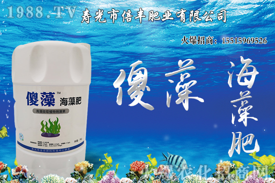 �Ј�(ch��ng)�𲽻ؚw�������������󶹃r(ji��)��_�߻�����