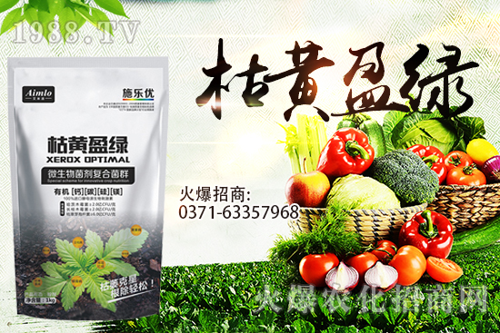 ʮ�¼������������r�ܝq������9��29��С���r���߄ݣ�