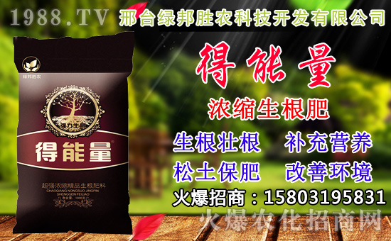 2020年小麥種子如何選？高產(chǎn)小麥品種有哪些？