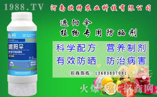 �R������Ժ���Щ�����׷N���R����׷Nģʽ��ʲô��̎��