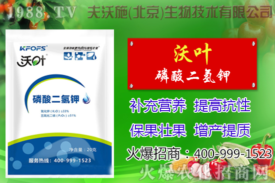 ���t��ժ�~����Щ��̎������ժ�~���g��ע�������