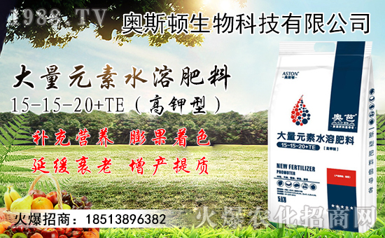 9月小麥?zhǔn)袌鲂星轭A(yù)測!附近期小麥?zhǔn)召弮r(jià)格!