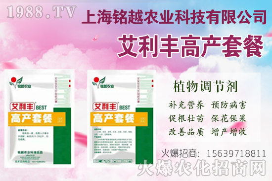 棉花吐絮是什么季節(jié)?常出現(xiàn)問題有哪些?棉花吐絮期管理要點(diǎn)!