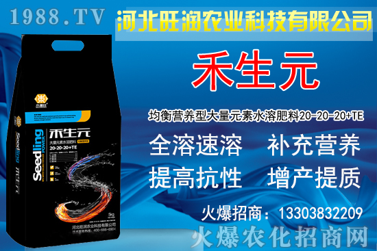 2020�Nֲ���y��ٍ�X�᣿���y�����L(zh��ng)�l�����Nֲǰ����