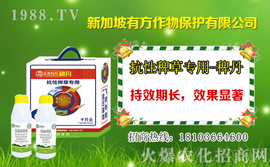 高效氟吡甲禾靈除草劑價(jià)格1月12日