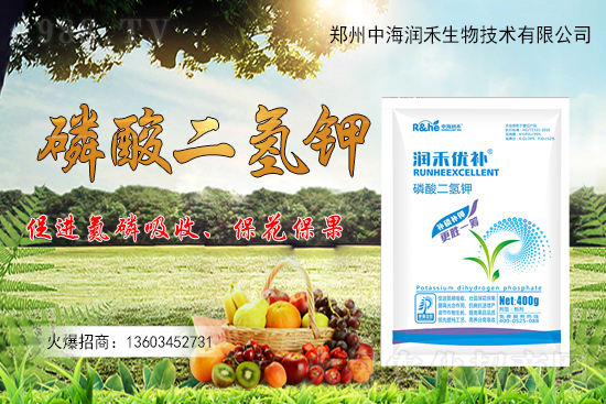 果樹一整年到底該怎么施肥？果樹施肥注意事項有哪些？