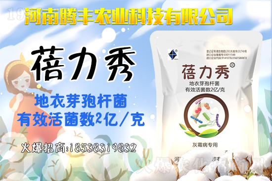 2021��2��21���ٶ����������r���߄�