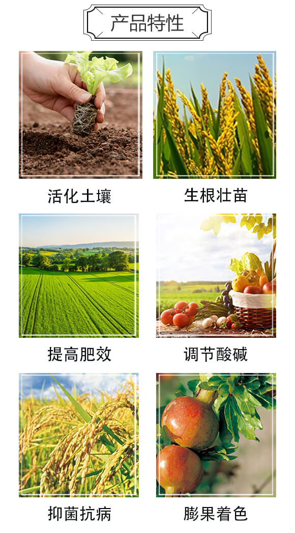 ��s�S�����ЙC(j��)��-�S����󶹵���-�����r(n��ng)�I(y��)_03