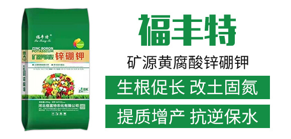 礦源黃腐酸鋅硼鉀-福豐特-倍富特農化_02