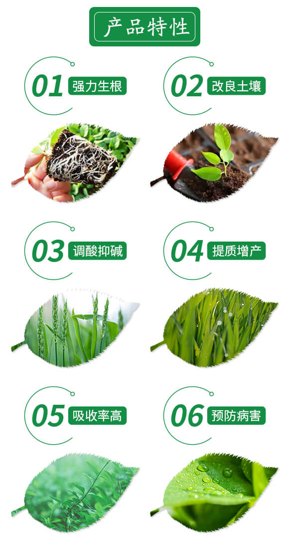 礦源黃腐酸鋅硼鉀-福豐特-倍富特農化_03