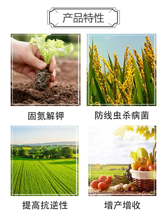 �o�����C-���w����_03